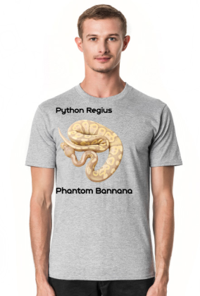Pyton królewski Python Regius Phantom Bannana