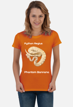 Pyton królewski Python Regius Phantom Bannana