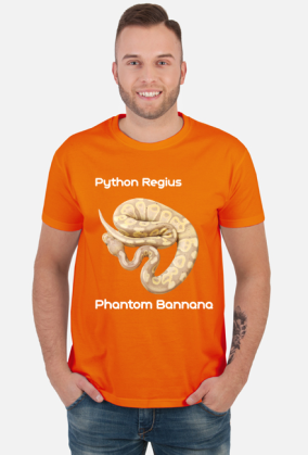 Pyton królewski Python Regius Phantom Bannana