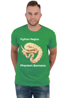 Pyton królewski Python Regius Phantom Bannana