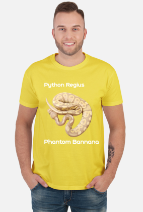 Pyton królewski Python Regius Phantom Bannana