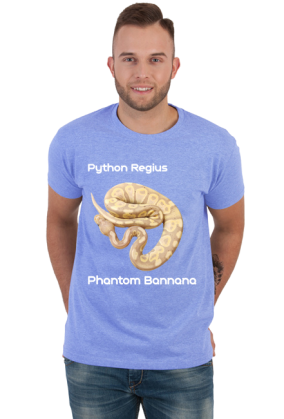 Pyton królewski Python Regius Phantom Bannana