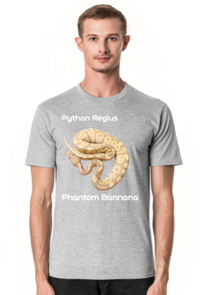 Pyton królewski Python Regius Phantom Bannana