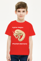 Pyton królewski Python Regius Phantom Bannana