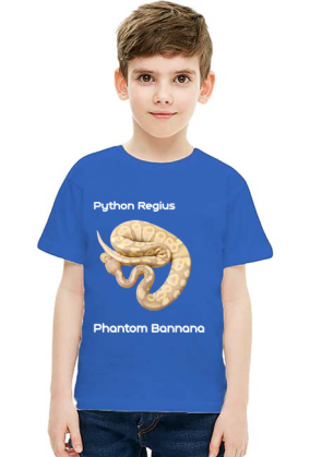 Pyton królewski Python Regius Phantom Bannana