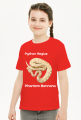 Pyton królewski Python Regius Phantom Bannana
