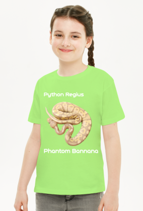 Pyton królewski Python Regius Phantom Bannana
