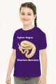 Pyton królewski Python Regius Phantom Bannana