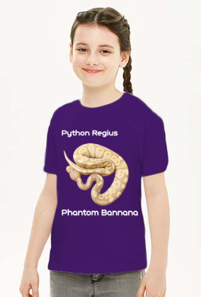 Pyton królewski Python Regius Phantom Bannana