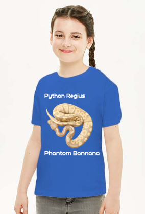 Pyton królewski Python Regius Phantom Bannana