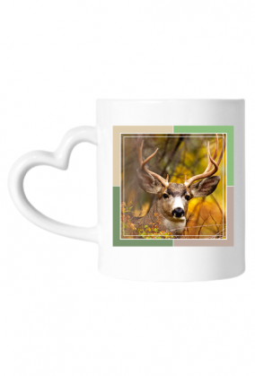 Kubek - w sercu lasu