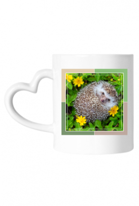 Kubek - w sercu lasu