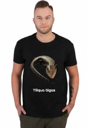 Tiliqua Gigas