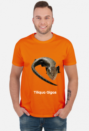 Tiliqua Gigas