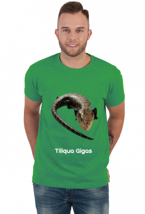Tiliqua Gigas