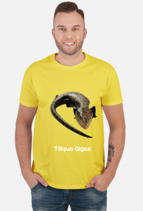 Tiliqua Gigas