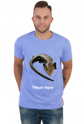 Tiliqua Gigas