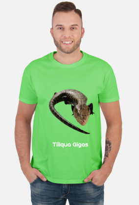 Tiliqua Gigas