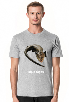 Tiliqua Gigas