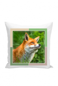 Poduszka - w sercu lasu