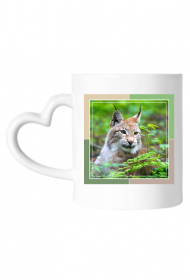 Kubek - w sercu lasu