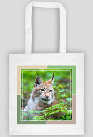 Ekotorba - w sercu lasu