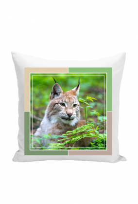 Poduszka - w sercu lasu