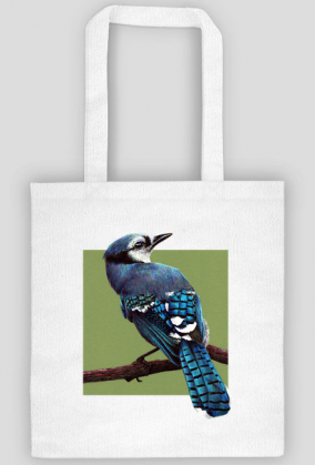 Torba Modrosójka błękitna