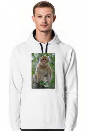 bluza z małpiszonkiem