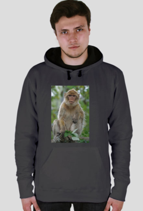 bluza z małpiszonkiem