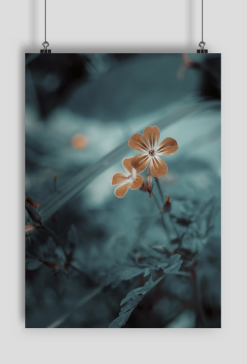Plakat A2 - kwiaty surreal