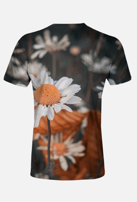 T-shirt męski - strokrotka #1