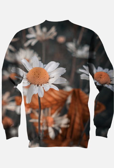 Bluza full print - strokrotka #1