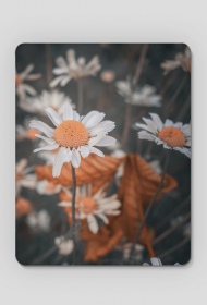 Podkładka pod myszkę - stokrotka #1