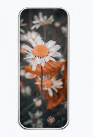 Piórnik metalowy - stokrotka #1