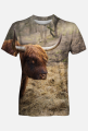 T-shirt męski - szkocka krowa