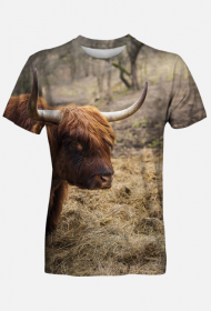 T-shirt męski - szkocka krowa