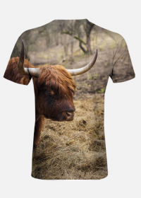 T-shirt męski - szkocka krowa