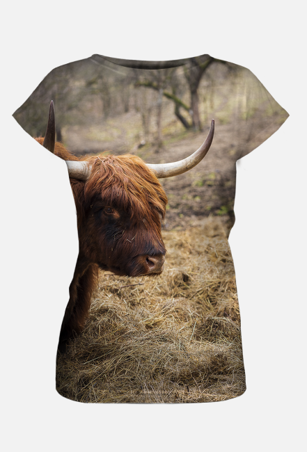 T-shirt damski - szkocka krowa