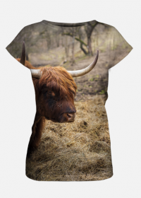 T-shirt damski - szkocka krowa
