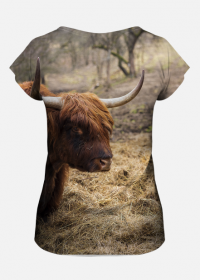 T-shirt damski - szkocka krowa