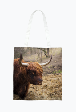 Eko torba full print - szkocka krowa