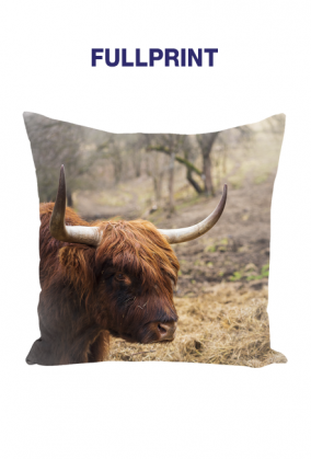 Poduszka full print - szkocka krowa