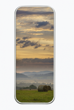 Piórnik metalowy - wiejski poranek