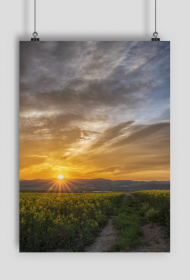 Plakat A2 - rzepakowy wschód