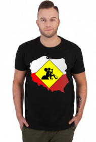 Polish Works