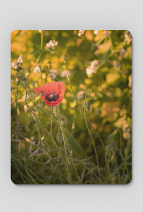 Podkładka pod myszkę - mak #1