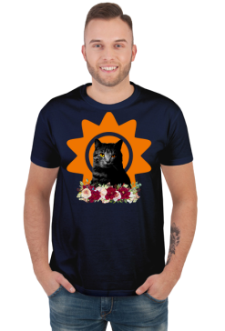 Sun Cat