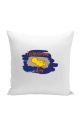 Testosterone King Pillow