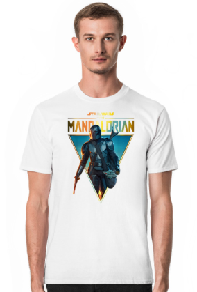 Star Wars The Mandalorian  The Child